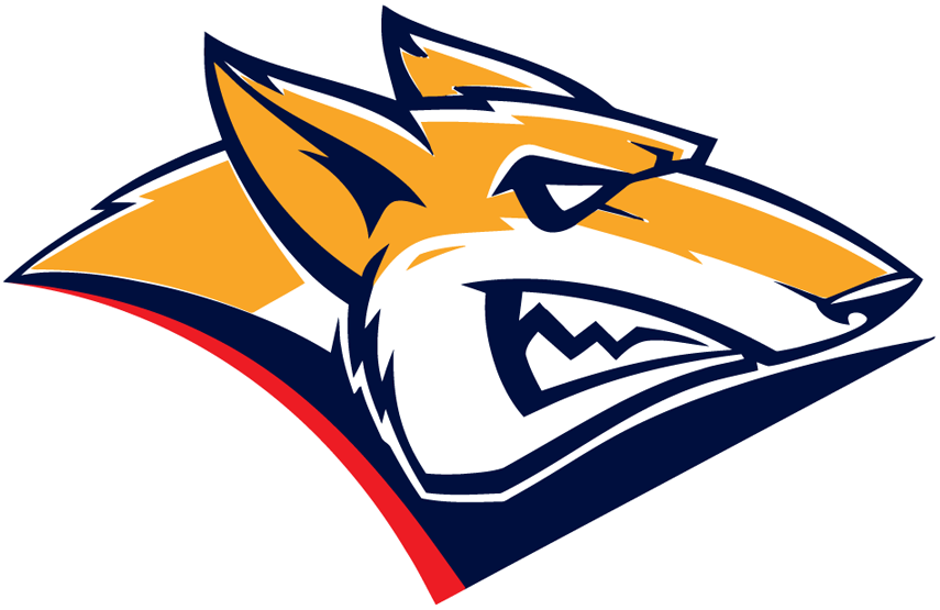 Metallurg Magnitogorsk 2015-2018 Primary Logo iron on transfers for T-shirts